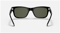 Occhiali da sole Ray-Ban RB 2283 - RB 2283